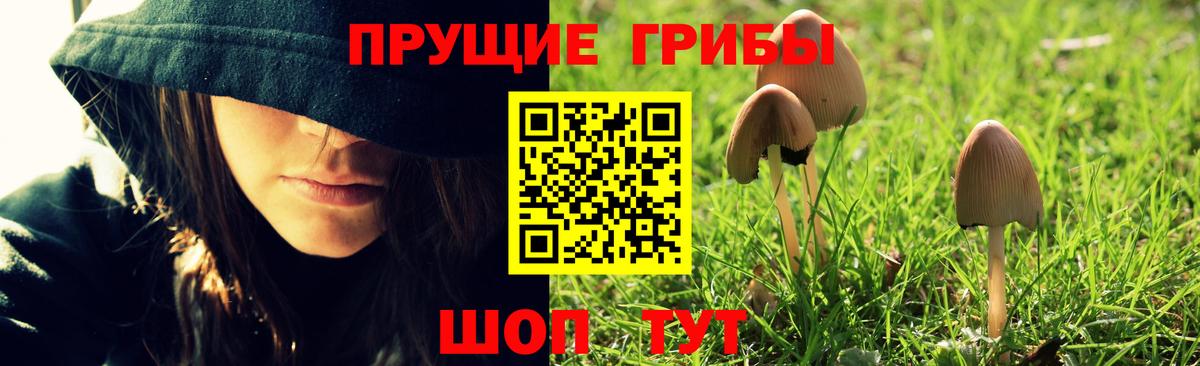 Галлюциногенные грибы Psilocybe  Вход с VPN  Чусовой 